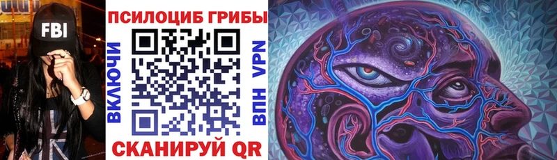 Псилоцибиновые грибы MAGIC MUSHROOMS  МЕГА онион  Чухлома 
