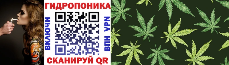 Канабис сатива  цена наркотик  Чухлома 
